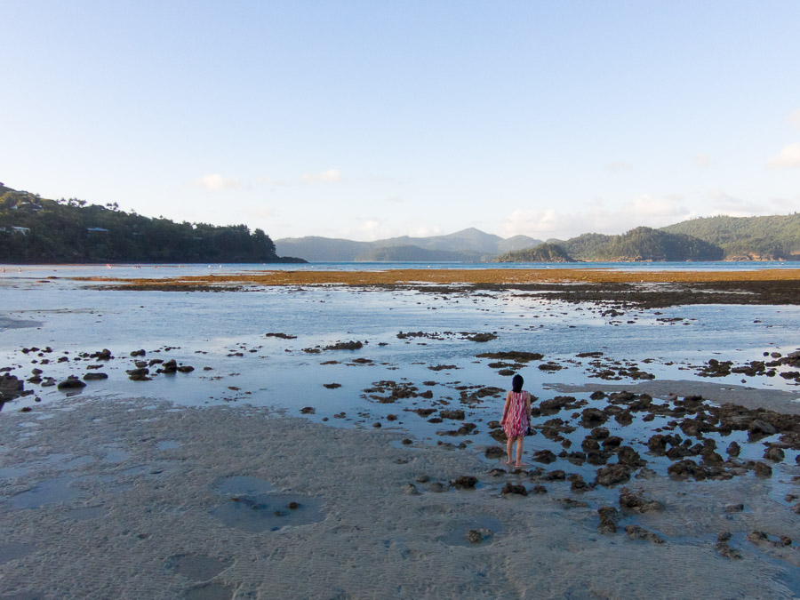 Low tide at Hamilton Island